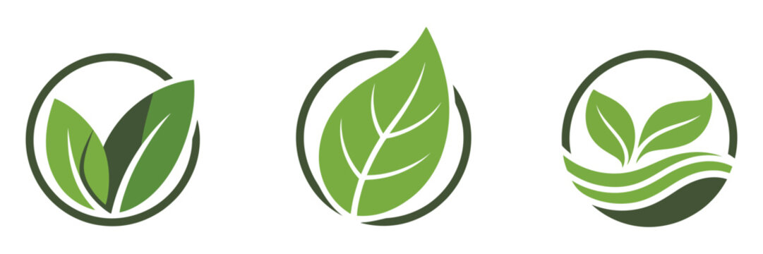 Eco icons featuring green plant in a circle with organic, natural, and bio symbols. Isolated vector illustration.