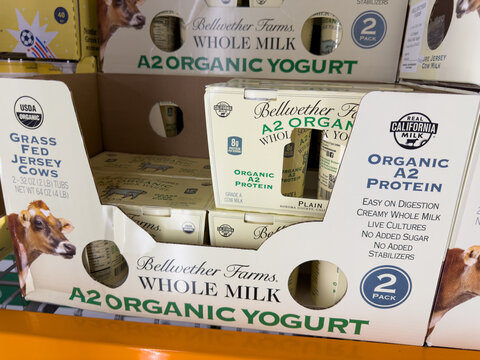 Bellwether Farms A2 Organic Yogurt At Costco Warehouse
