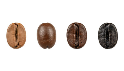 Obraz premium Four Coffee Beans Showing Different Roast Levels