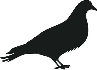 Fototapeta premium silhouette bird