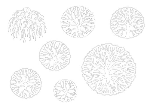 Minimalist tree top view vector set, architectural landscape plan symbols, 7 white outline garden plant icons for site mapping and masterplan design