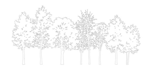 Obraz premium Minimalist tree line sketch vector, hand drawn forest silhouette outline, black and white woodland landscape border for architectural site plans