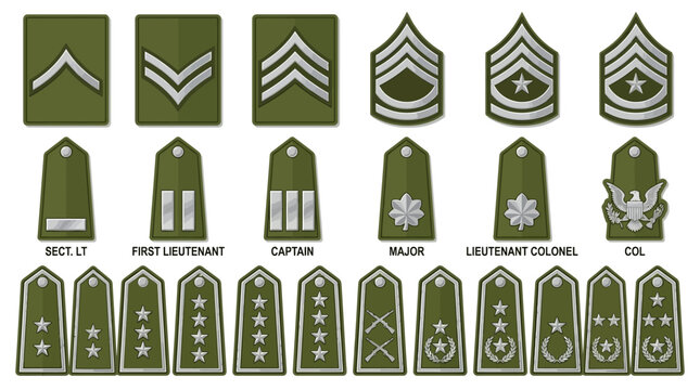 Military Rank Insignia Chart: Enlisted, Warrant Officer, and Officer Ranks