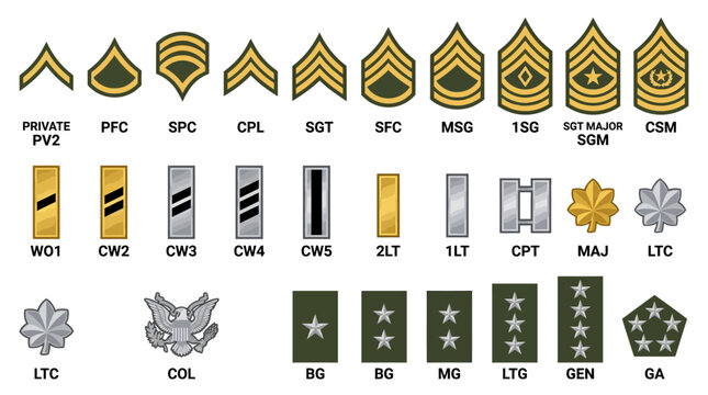US Army Ranks and Insignia: Enlisted, Warrant Officer, and Officers