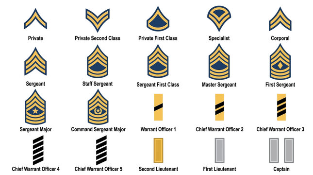 US Army Ranks Insignia Military Stripes Chevrons Badges Badges