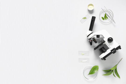 Modern microscope with different leaves, petri dish, mortar and pestle on white background