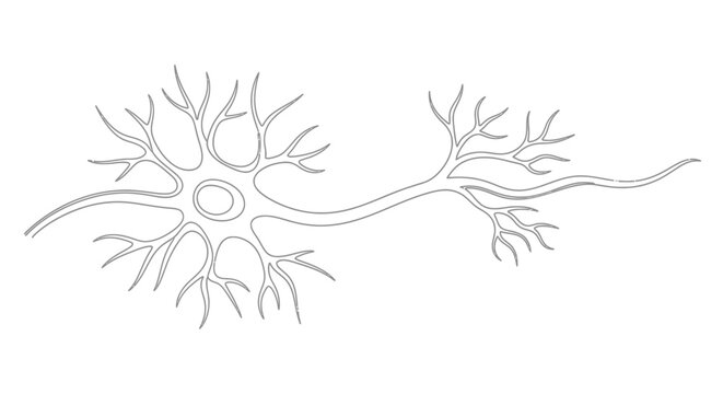 Human Neuron in Minimalist Line Art Style