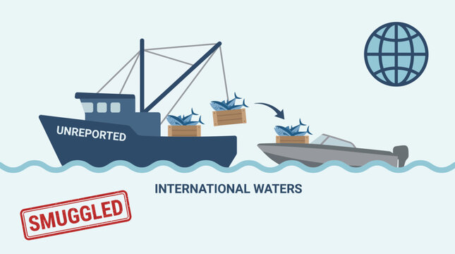 Unreported Tuna Catch Smuggled Across International Waters