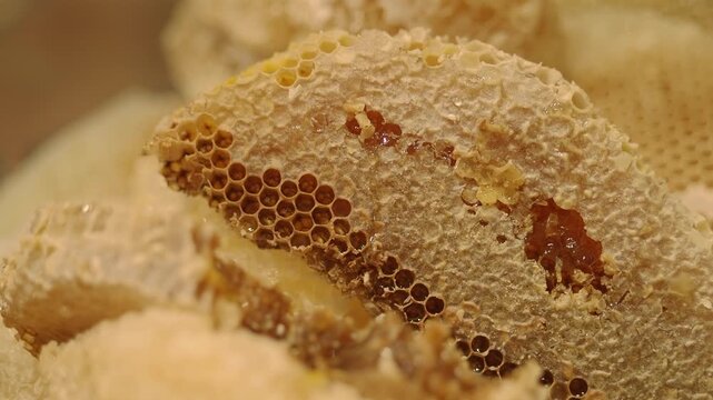 Honey extraction process from beehive frames in a workshop