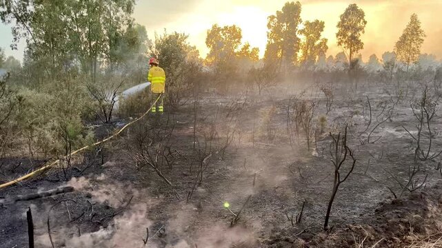 Bomberos forestales en primera l&iacute;nea del fuego