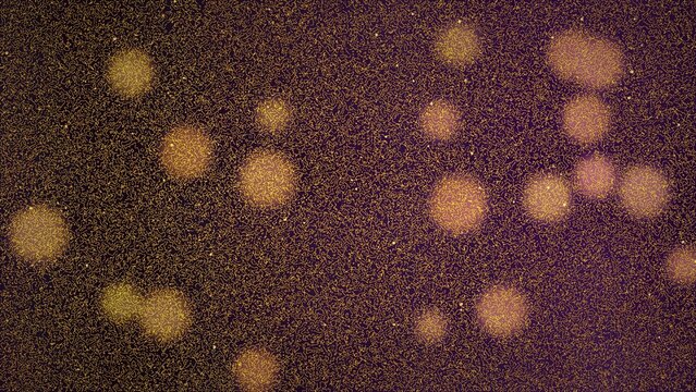 Microscopic view of bacterial cells under laboratory microscope, science research, microbiology study, dark background, close-up perspective