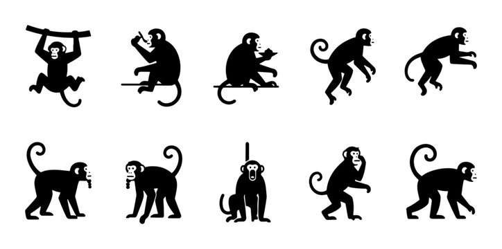 Monkey Silhouettes Collection, Primate Poses Vector Set, Jungle Animals Graphic Elements, Black and White Wildlife Icons