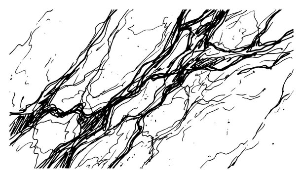 Organic root patterns and abstract natural textures in detailed hand drawn sketch style