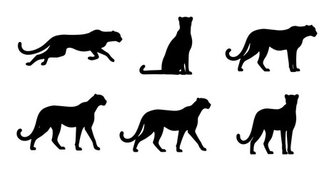 Set of Six Black Silhouette Cheetahs, Elegant Big Cat Poses, Vector Graphic Collection for Wildlife and Safari Designs © Shakil