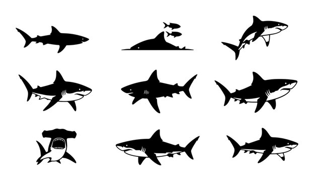 Shark Silhouettes Collection, Marine Predator Vector Icons, Ocean Wildlife Graphics, Aquatic Danger Symbols, Set of 9 Black and White Illustrations