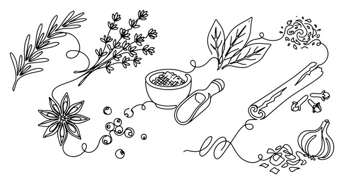 Kitchen spices and herbs with cinnamon star anise and garlic continuous line art