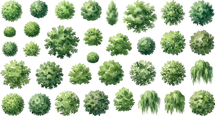 Naklejka premium Set of various watercolor trees and shrubs isolated on white background