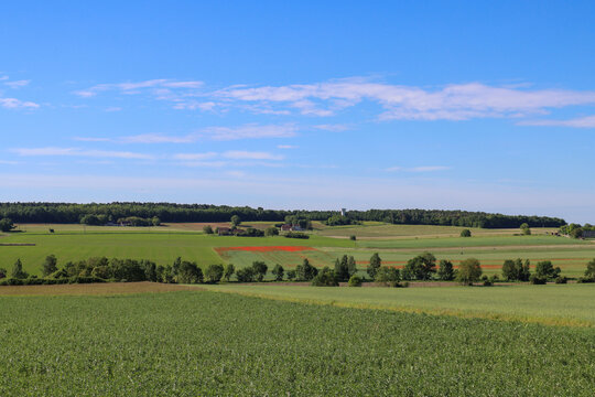 Green wheat fields and Loire Valley charm