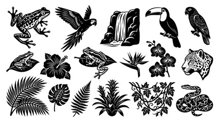 Obraz premium Black and White Tropical Jungle Animals and Plants Vector Set