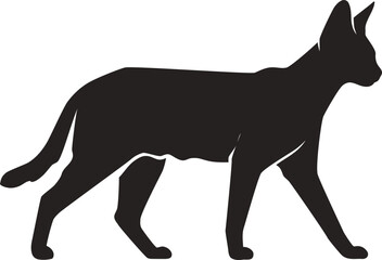 Obraz premium Black silhouette of a walking cat.