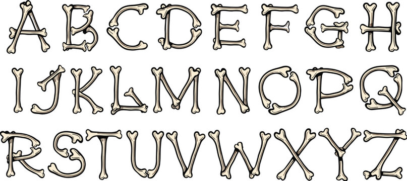 Complete bone alphabet with letters a to z, crafted from skeletal bones, creating a unique and macabre font design.