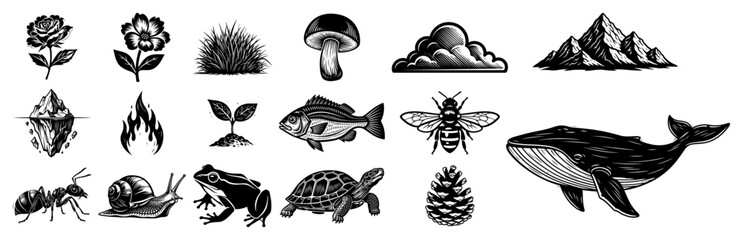 Nature icons collection featuring wild animals and plants in vintage engraving style © Logan