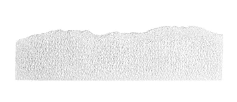 PNG Textured torn paper edge on transparent background