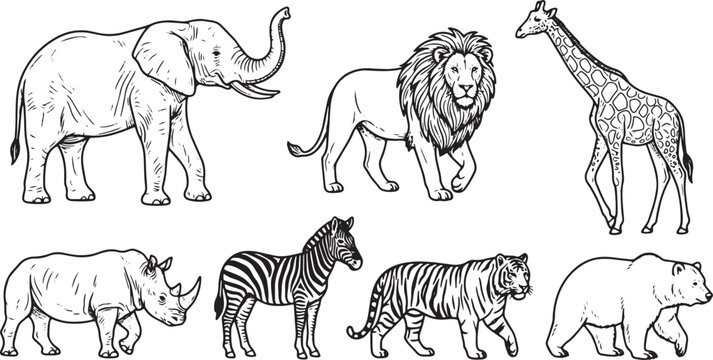Wild animal silhouettes including zebras horses elephants lions and giraffes in a vector safari set