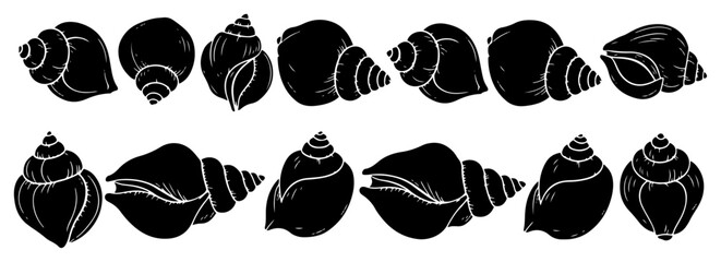 Snail shell silhouettes and marine sea shells in hand drawn engraving style © Logan