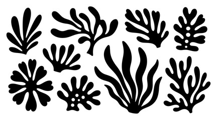 Organic abstract botanical shapes and seaweed silhouettes in a minimalist modern style © Logan