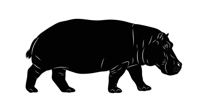 Hippopotamus Silhouette Walking Sideways.