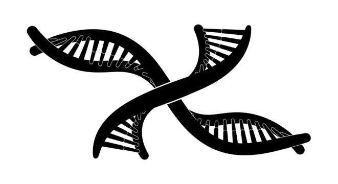 DNA Double Helix Structure.