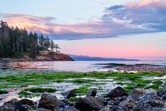 Sunset over the sea beach with seaweed on Sunshine Coast. Sechelt. Briitish Columbia. Canada