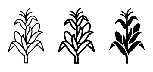 Corn Stalk Icons: Outline and Silhouette Vector Graphics, Agricultural Plant Symbols for Harvest and Farming Themes © Mouri