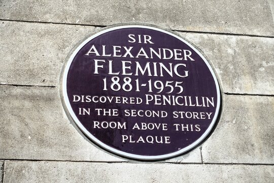 Plaque commemorating the discovery of Penicillin by Sir Alexander Fleming, in September 1928, at St Mary's Hospital Medical School, Paddington, London