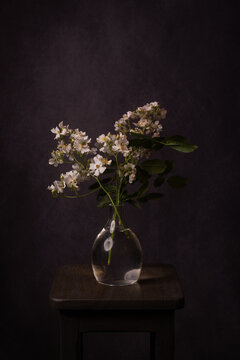 wild roses in glass vase on stool stilllife in renaissance style