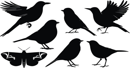 Fototapeta premium Silhouette collection of various birds and butterfly with wildlife