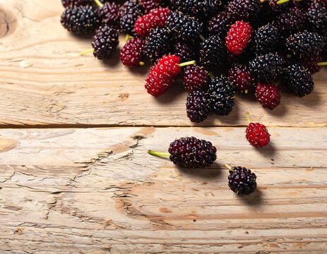 High angle illustration of fresh mulberry pile scattered on a rustic wooden surface with copy space