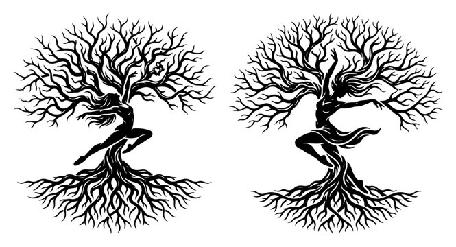 Tree of life goddess dryad with roots and branches forming a feminine silhouette in black and white mythic style