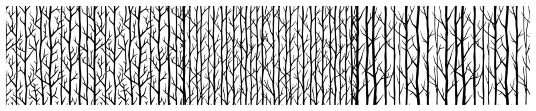 Bare tree trunks forming a dense forest border in minimalist line art style