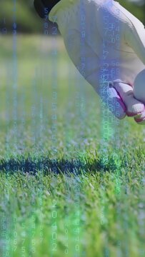 Vertical video: Golfer's gloved hand coming placing tee and ball on turf readying shot with overlay