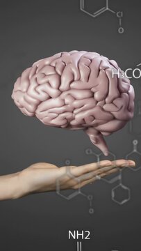 Vertical video: Left hand appearing, 3D brain hovering, rotating, camera zooming, chemistry focus