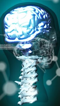 Vertical video: Code flowing holo rising brain glowing spine tilting skull focusing for diagnosis