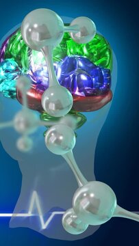 Vertical video: Molecules entering frame colored brain rotating in head, ECG pulsing, showing lobes