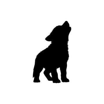 Howling wolf cub silhouette standing on white background