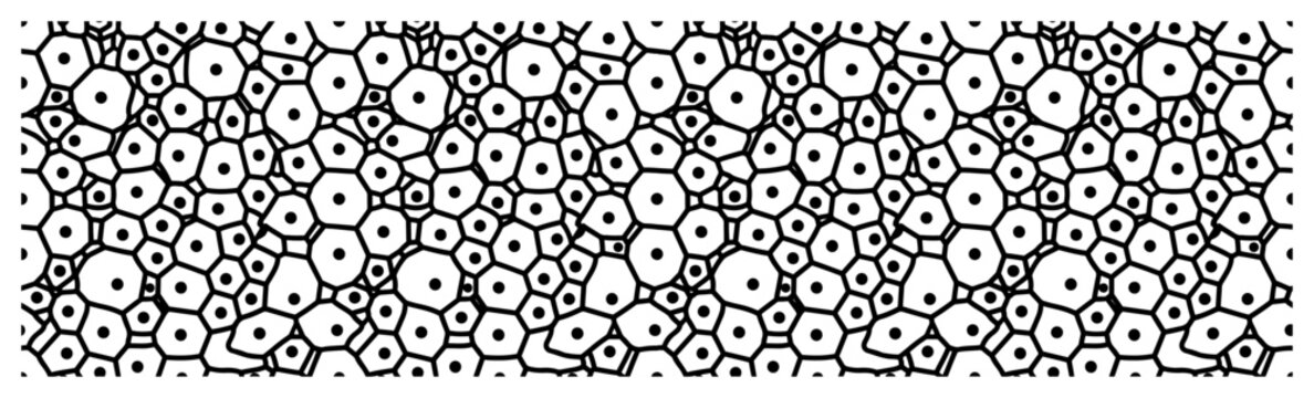 Voronoi geometric pattern with dots in an organic cellular style