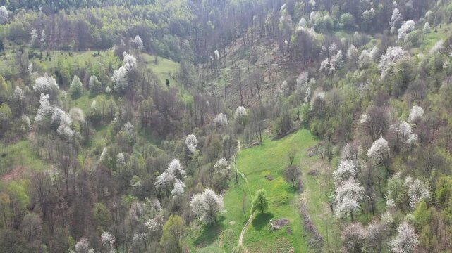 Spring in the village of Kovačići near Novi Travnik in Central Bosnia