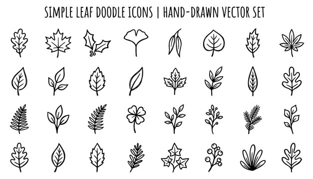 Hand Drawn Leaf Doodle Icons Set, Simple Botanical Vector Illustrations