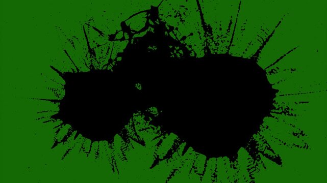 Black and white paint splash liquid explosion isolated on green screen