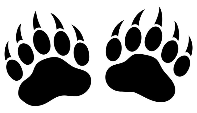 Bear paw prints with claws black bear brown bear wildlife footprint evidence predator silhouette